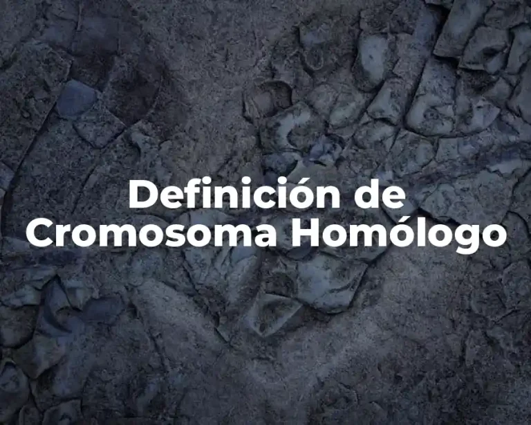 Definición de Cromosoma Homólogo