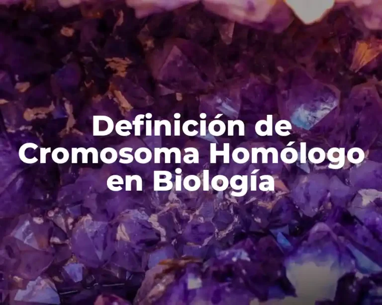 Definición de Cromosoma Homólogo en Biología