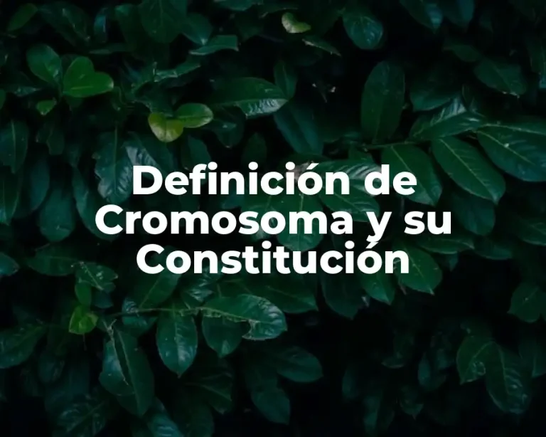 Definición de Cromosoma y su Constitución