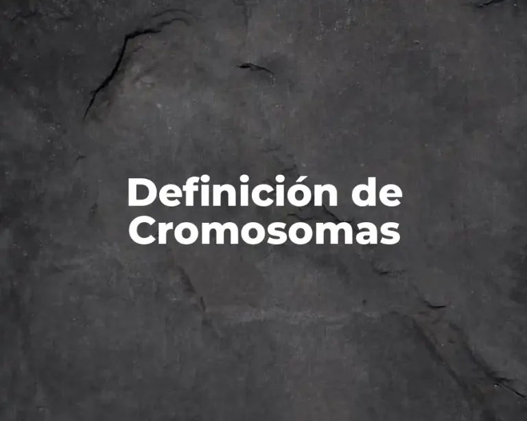 Definición de Cromosomas