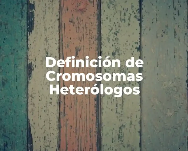 Definición de Cromosomas Heterólogos