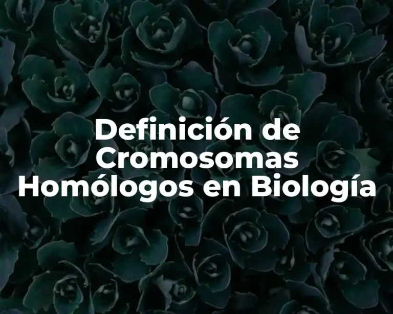 Definición de Cromosomas Homólogos en Biología