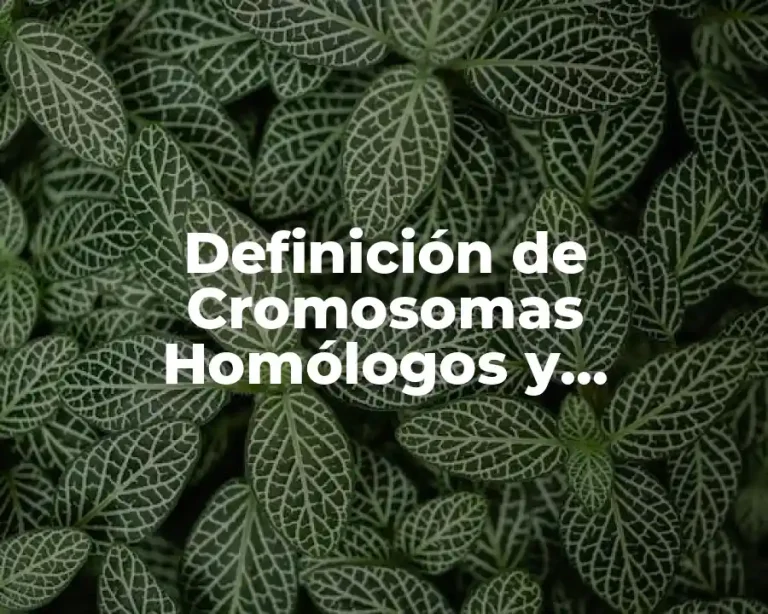 Definición de Cromosomas Homólogos y Heterólogos