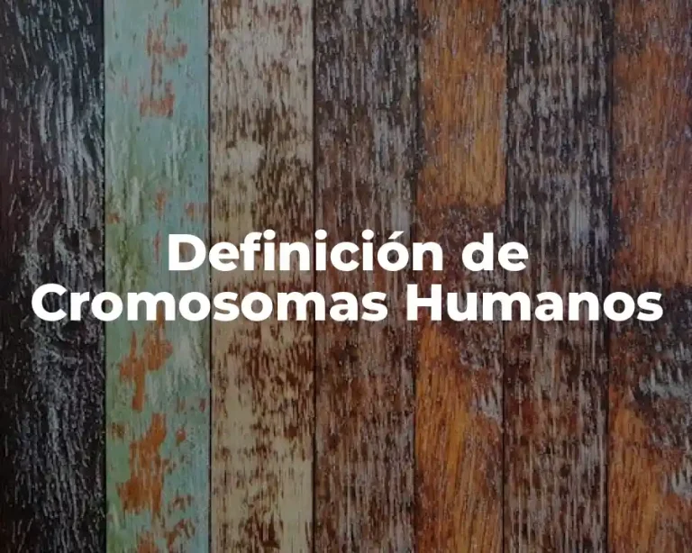 Definición de Cromosomas Humanos