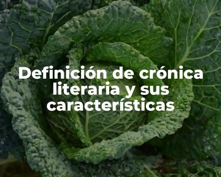 Definición de crónica literaria y sus características