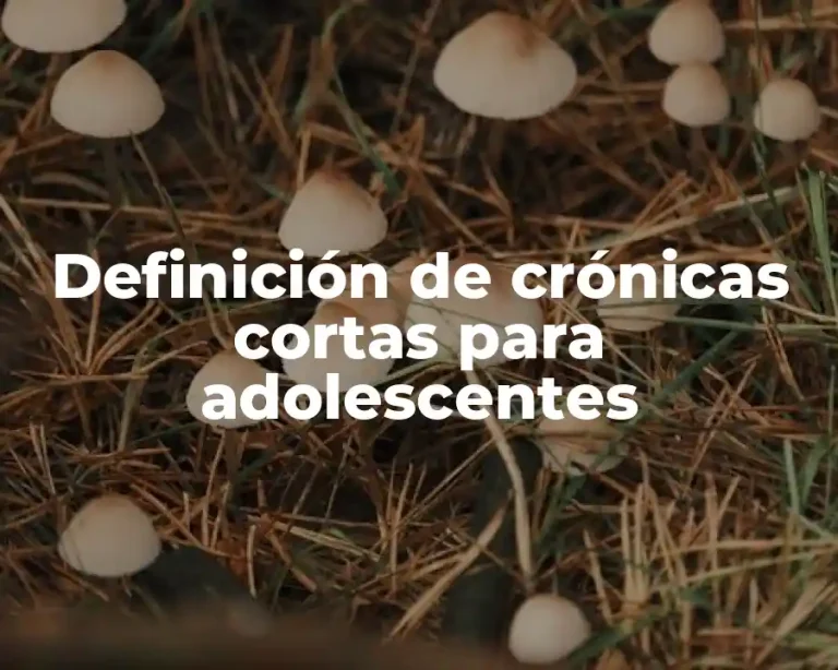 Definición de crónicas cortas para adolescentes