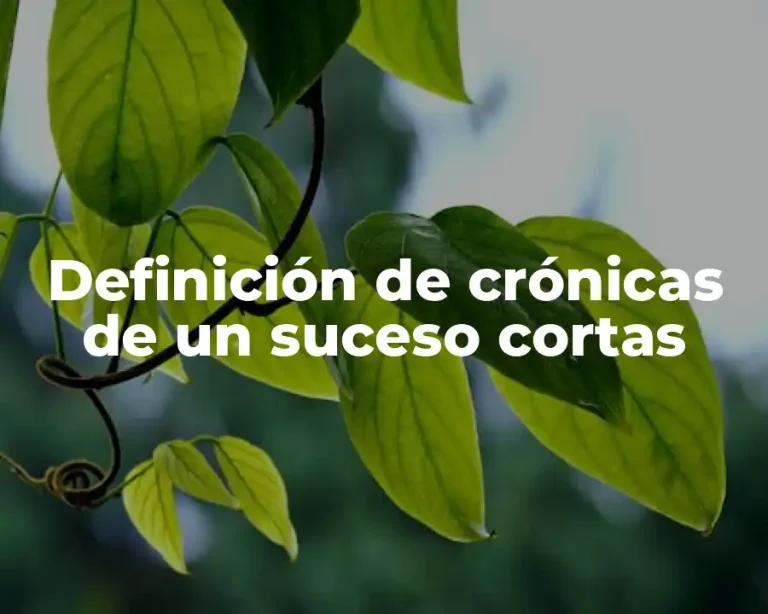 Definición de crónicas de un suceso cortas