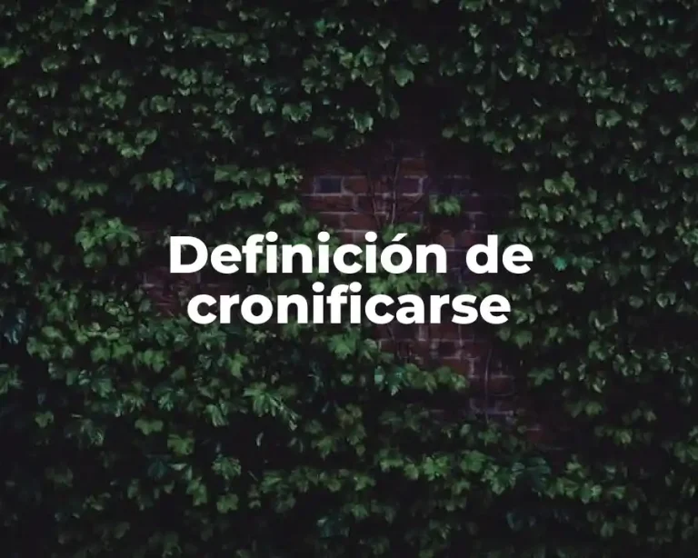 Definición de cronificarse