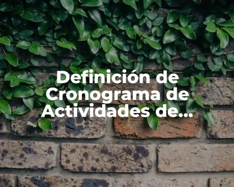 Definición de Cronograma de Actividades de Enfermería