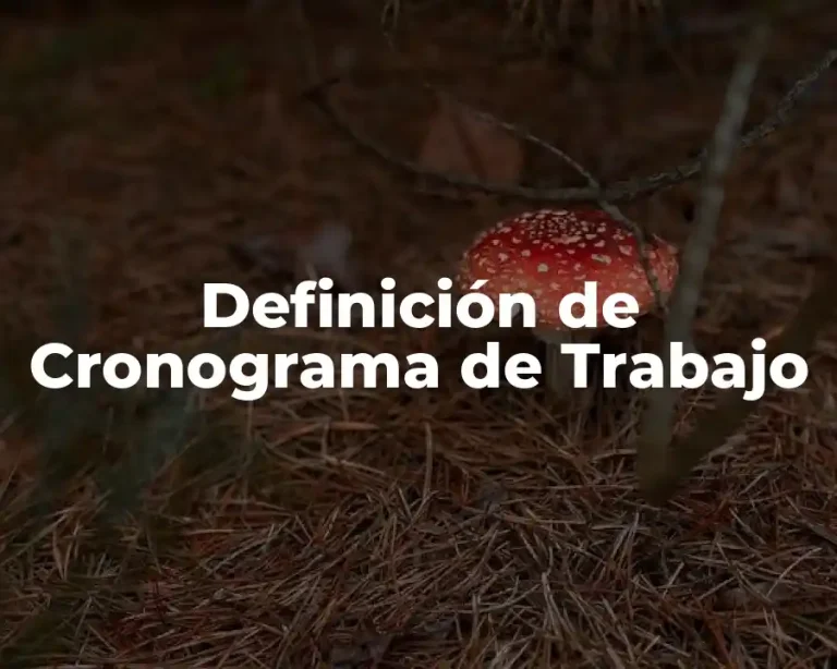 Definición de Cronograma de Trabajo