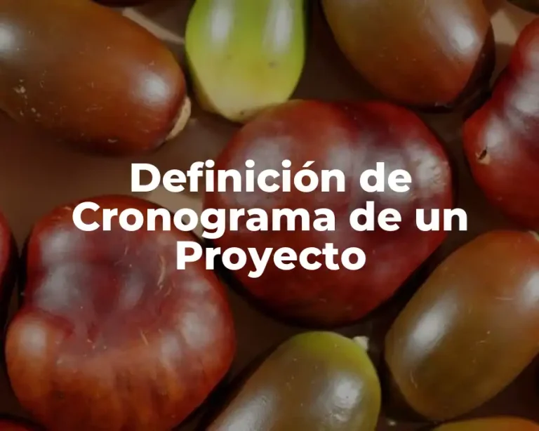 Definición de Cronograma de un Proyecto