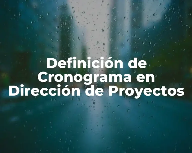 Definición de Cronograma en Dirección de Proyectos
