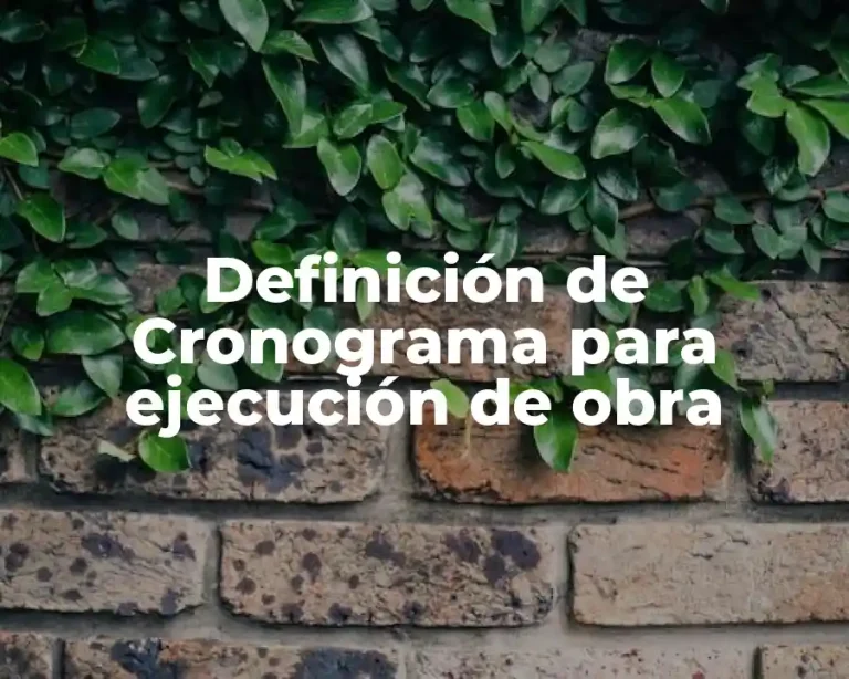 Definición de Cronograma para ejecución de obra
