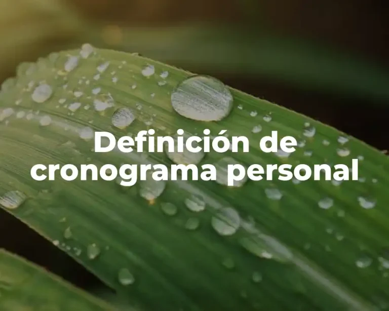 Definición de cronograma personal