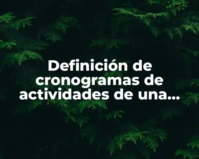 Definición de cronogramas de actividades de una empresa