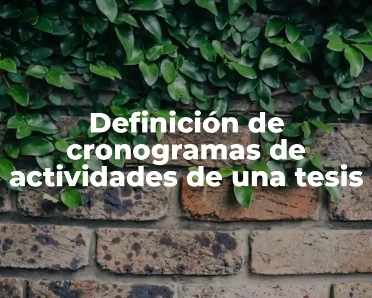 Definición de cronogramas de actividades de una tesis