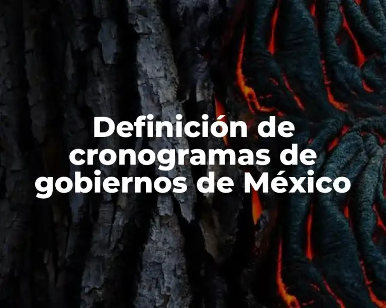 Definición de cronogramas de gobiernos de México