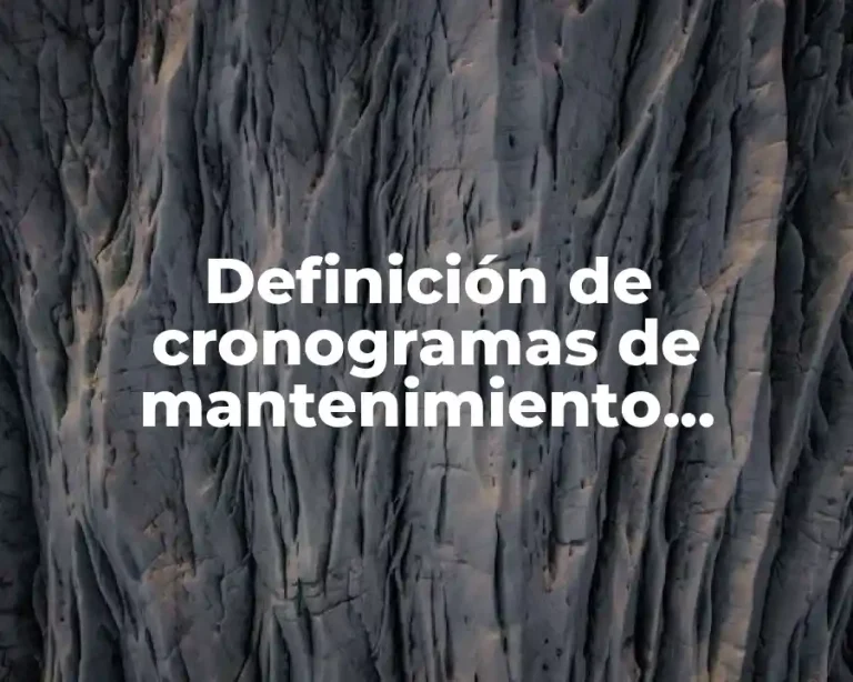 Definición de cronogramas de mantenimiento preventivo de una empresa