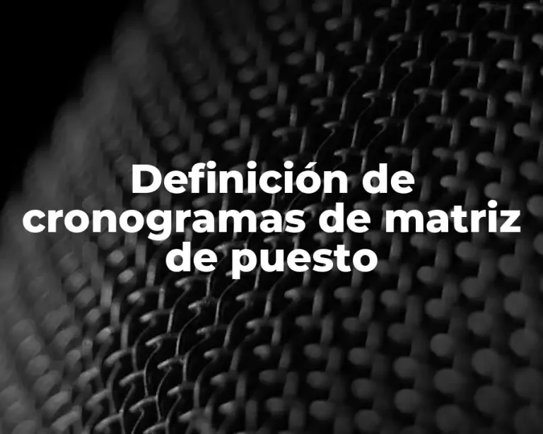 Definición de cronogramas de matriz de puesto