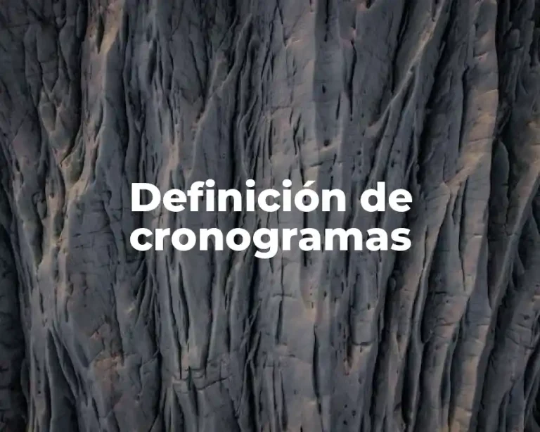 Definición de cronogramas