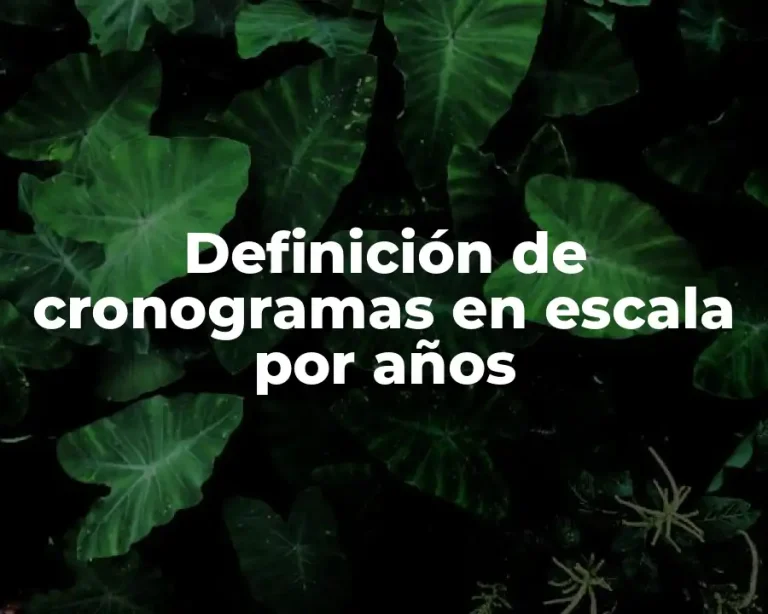 Definición de cronogramas en escala por años