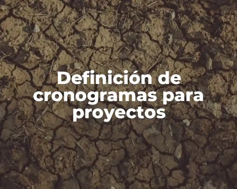 Definición de cronogramas para proyectos