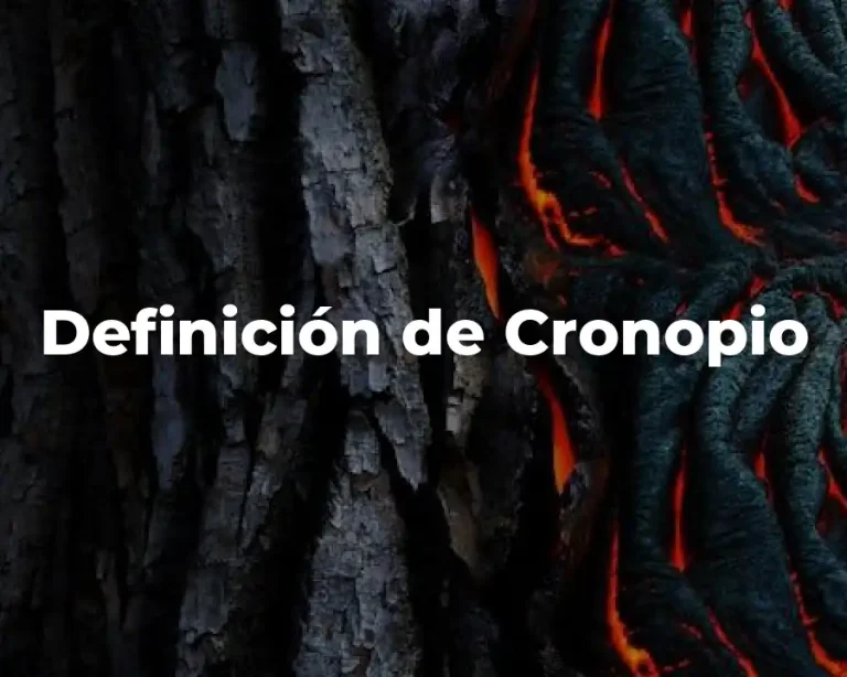 Definición de Cronopio