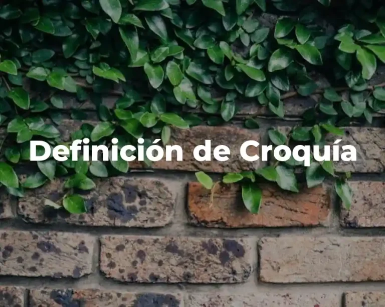 Definición de Croquía