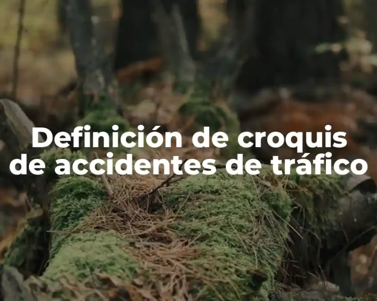 Definición de croquis de accidentes de tráfico