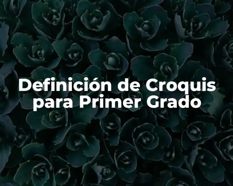 Definición de Croquis para Primer Grado