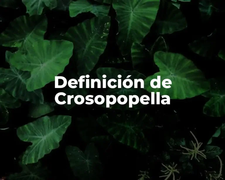 Definición de Crosopopella