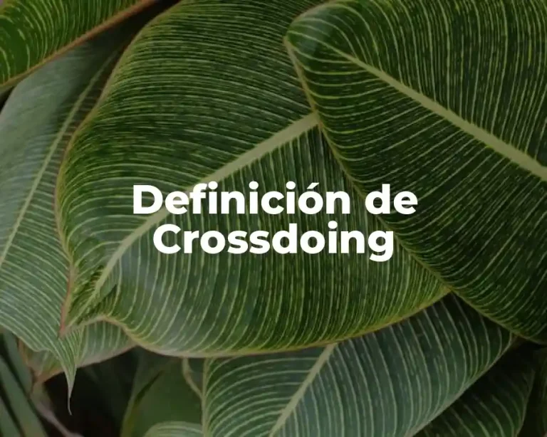 Definición de Crossdoing