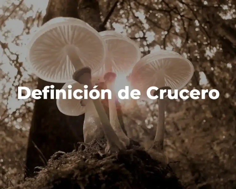 Definición de Crucero