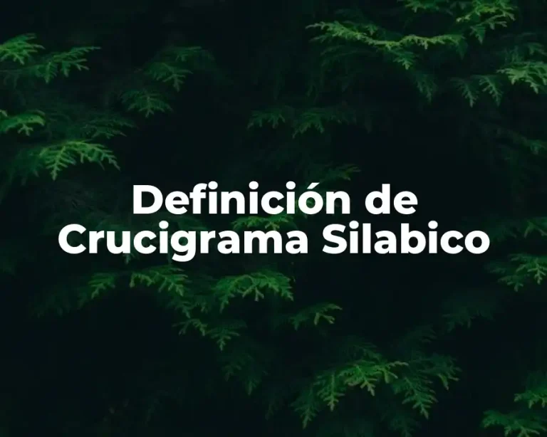 Definición de Crucigrama Silabico