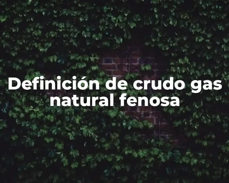 Definición de crudo gas natural fenosa