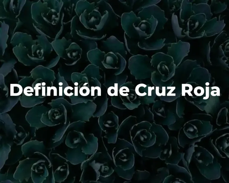 Definición de Cruz Roja