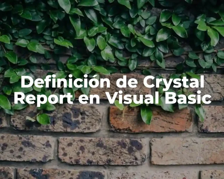 Definición de Crystal Report en Visual Basic