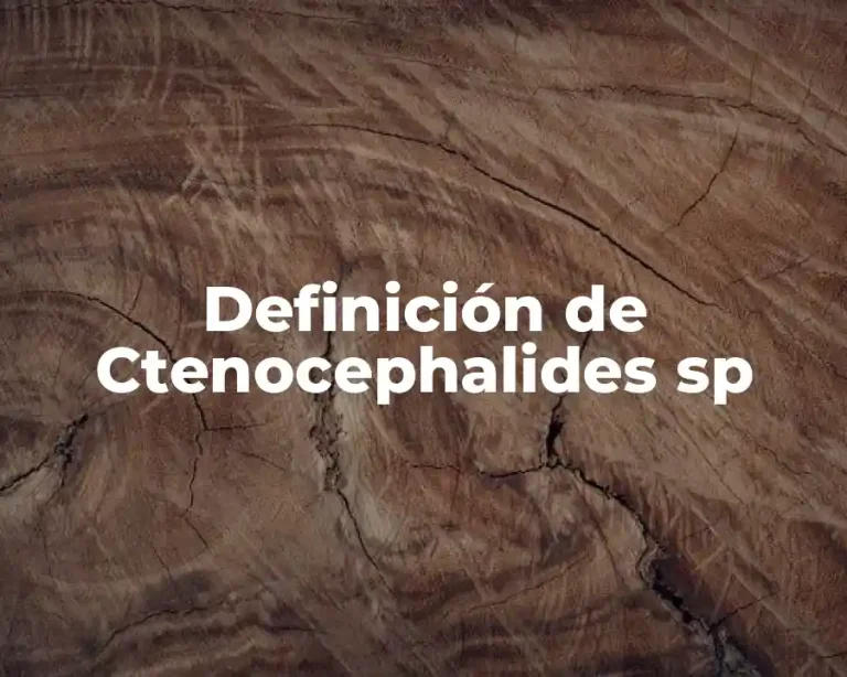 Definición de Ctenocephalides sp