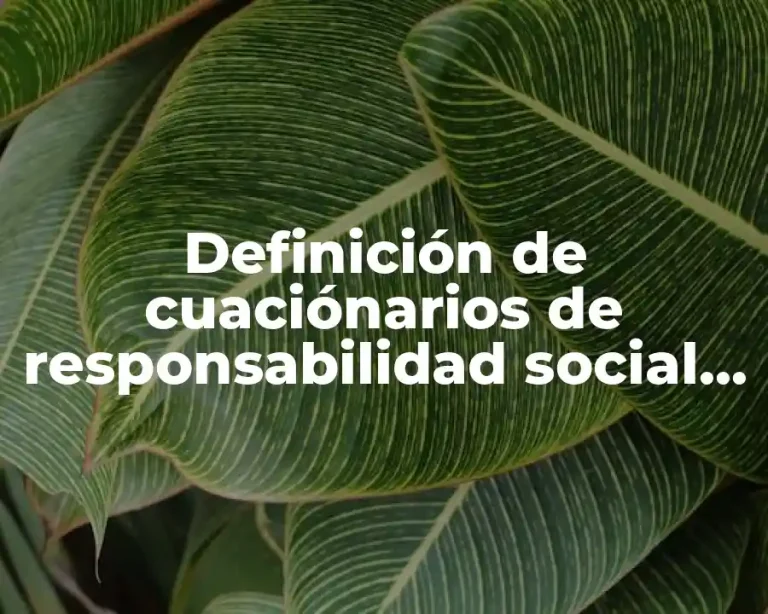 Definición de cuaciónarios de responsabilidad social de una paleteria