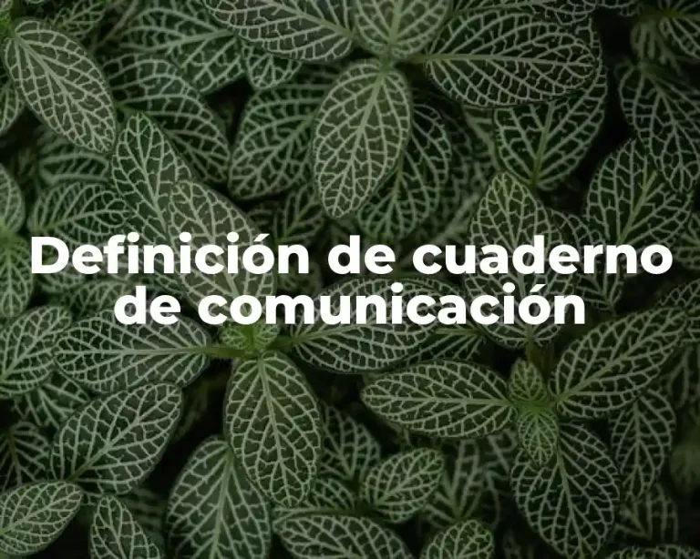 Definición de cuaderno de comunicación