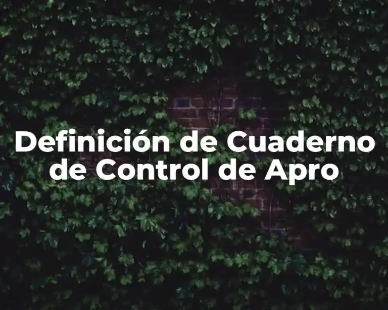 Definición de Cuaderno de Control de Apro