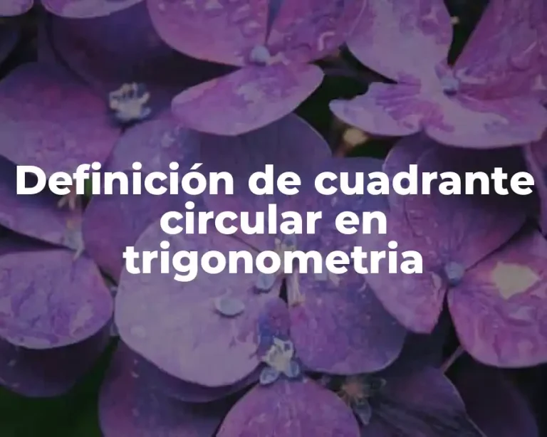 Definición de cuadrante circular en trigonometria