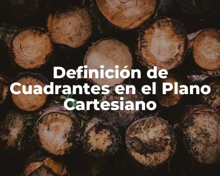 Definición de Cuadrantes en el Plano Cartesiano