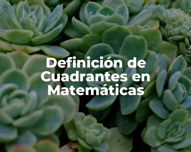 Definición de Cuadrantes en Matemáticas