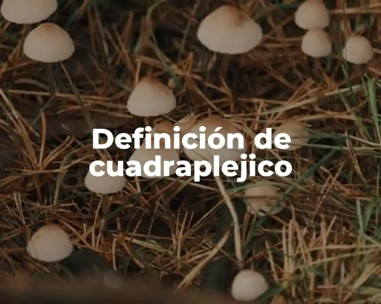 Definición de cuadraplejico