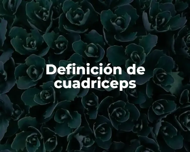 Definición de cuadriceps