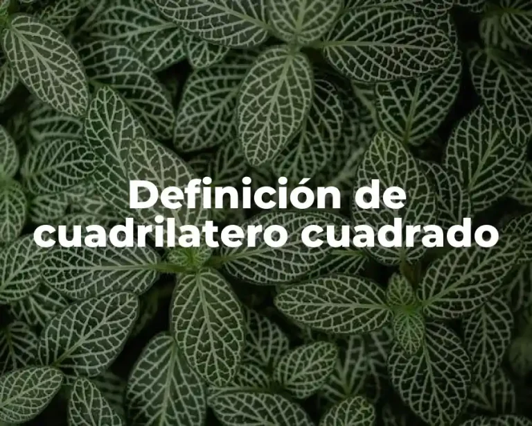 Definición de cuadrilatero cuadrado
