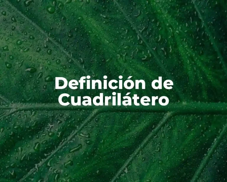 Definición de Cuadrilátero