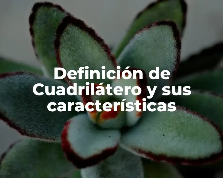 Definición de Cuadrilátero y sus características