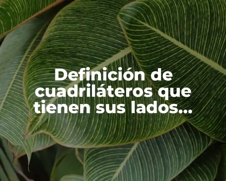 Definición de cuadriláteros que tienen sus lados opuestos iguales